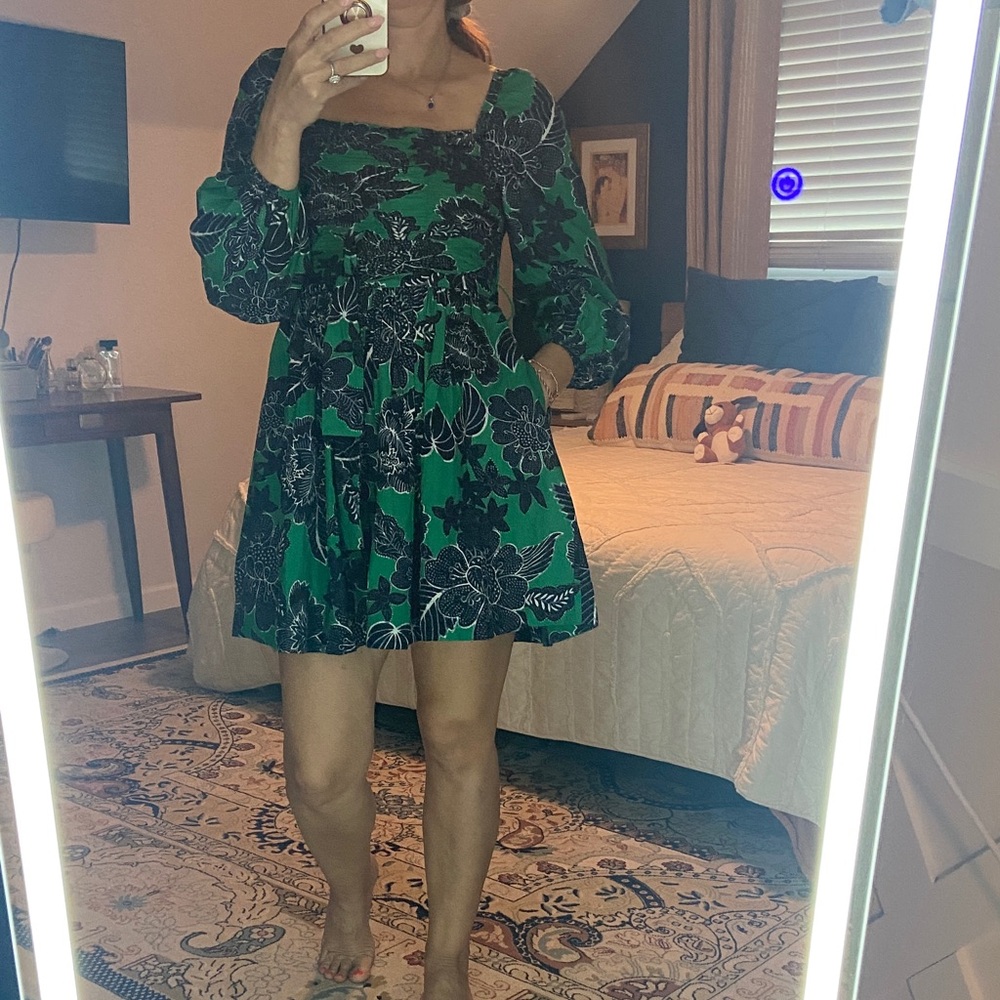 Caroline Constas dress